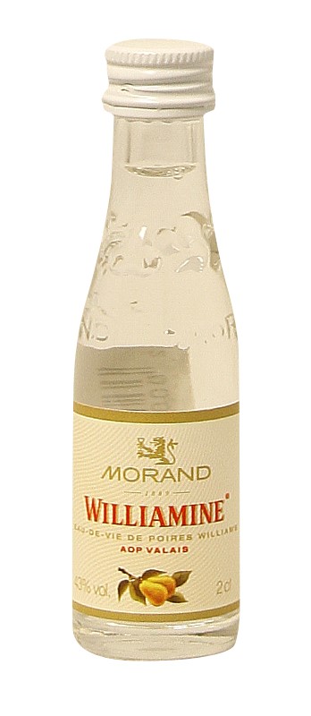 Wiliamine Morand Miniatur EW